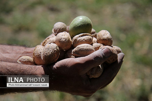 «منظر فرهنگی اورامانات» در فهرست میراث جهانی