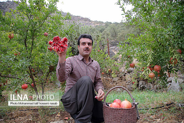 «منظر فرهنگی اورامانات» در فهرست میراث جهانی