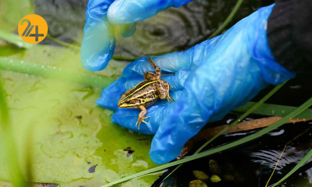 تصاویر جالب از حیات وحش