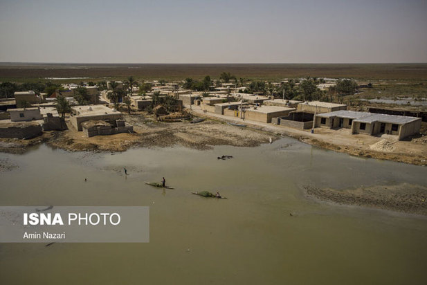 تشنگی نخل‌های شادگان