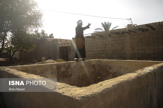 تشنگی نخل‌های شادگان