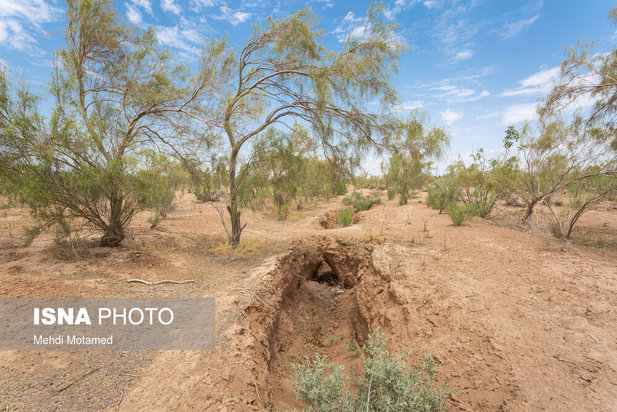 بحران فرونشست دشت قزوین