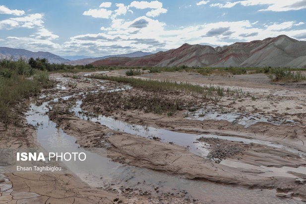 تلف شدن آبزیان رودخانه قزل اوزن