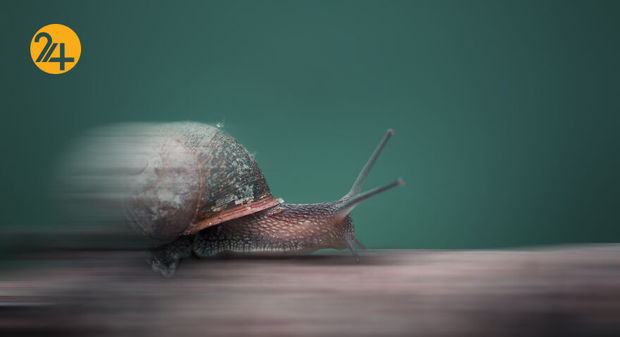 بهترین عکس‌ها با لنز ماکرو