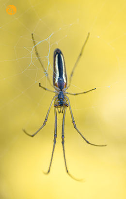 بهترین عکس‌ها با لنز ماکرو