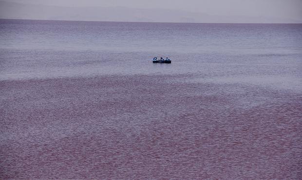 دریاچه ارومیه سرخ شد