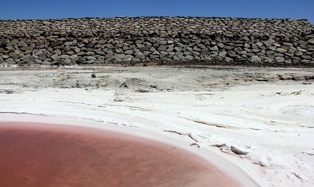 دریاچه ارومیه سرخ شد