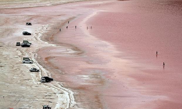 دریاچه ارومیه سرخ شد