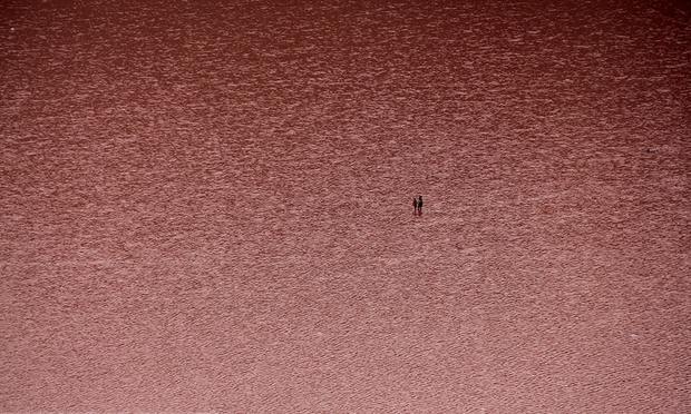 دریاچه ارومیه سرخ شد