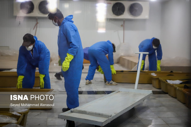 مشهد مرگبارترین شهر کرونایی ایران