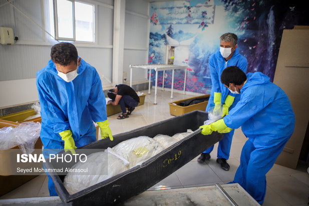 مشهد مرگبارترین شهر کرونایی ایران