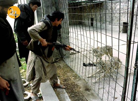 جنگ ۲۰ سال پیش طالبان در افغانستان