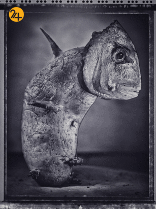 بهترین عکس‌های سال با سوژه سیب‌زمینی