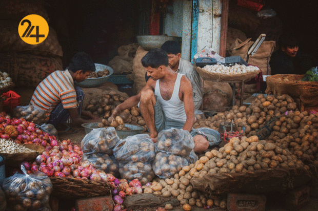 بهترین عکس‌های سال با سوژه سیب‌زمینی