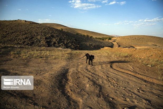 خشکسالی در چهارمحال و بختیاری