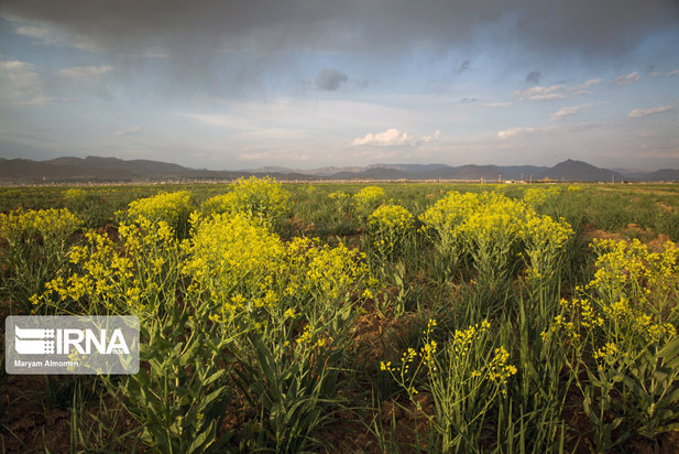 خشکسالی در چهارمحال و بختیاری