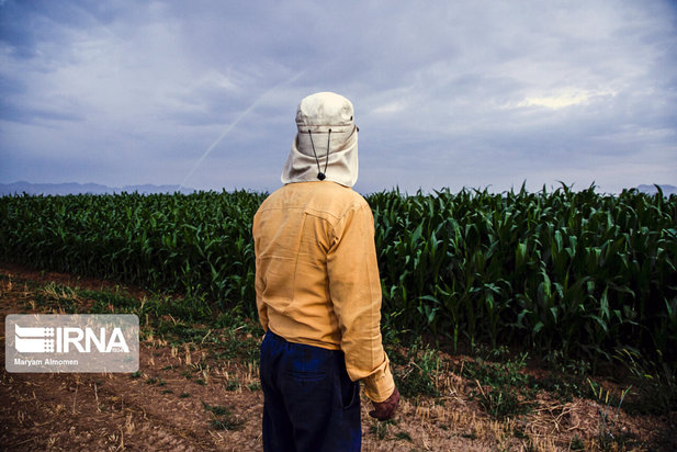 خشکسالی در چهارمحال و بختیاری