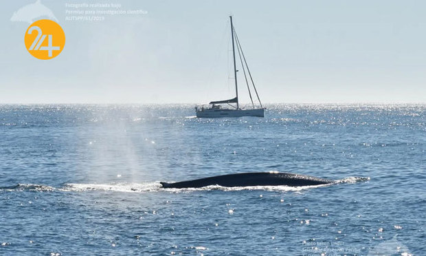 بهترین تصاویر از حیات وحش