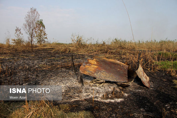 آتش سوزی در تالاب انزلی منطقه چراغ پشتان