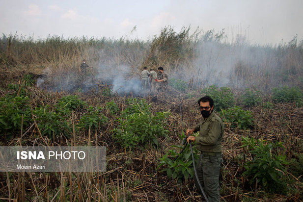 آتش سوزی در تالاب انزلی منطقه چراغ پشتان