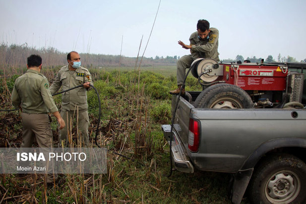 آتش سوزی در تالاب انزلی منطقه چراغ پشتان