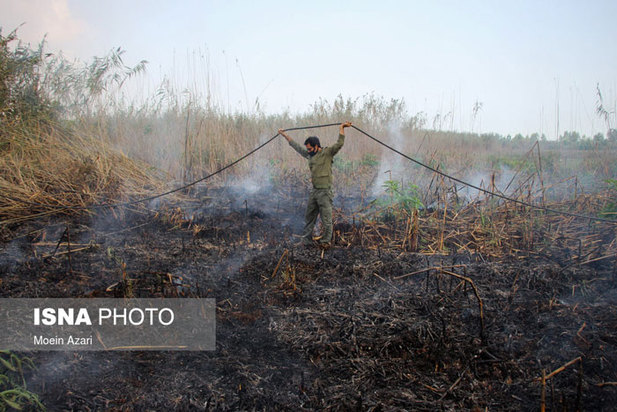 آتش سوزی در تالاب انزلی منطقه چراغ پشتان