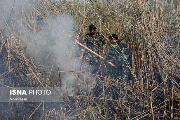 آتش سوزی در تالاب انزلی منطقه چراغ پشتان