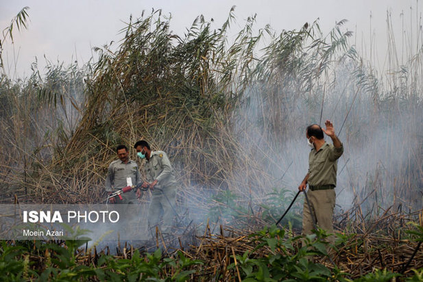 آتش سوزی در تالاب انزلی منطقه چراغ پشتان