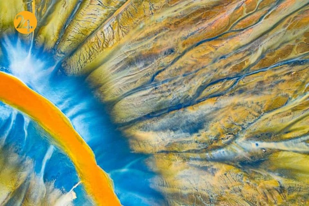 شگفتی‌های حیات وحش