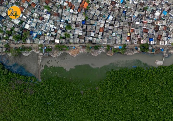 شگفتی‌های حیات وحش