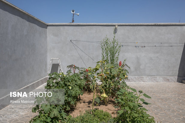 مهاجران افغان در خراسان