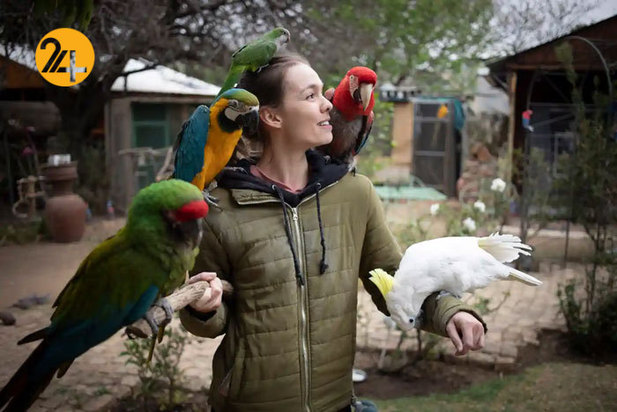 تصاویر حیات وحش از نهنگ کوهان‌دار تا ببر تاسمانی