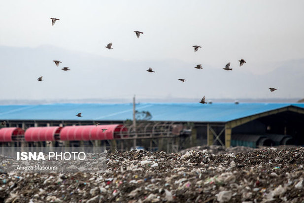 آرادکوه منشا بوی بد تهران