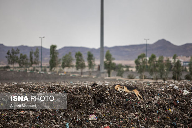آرادکوه منشا بوی بد تهران