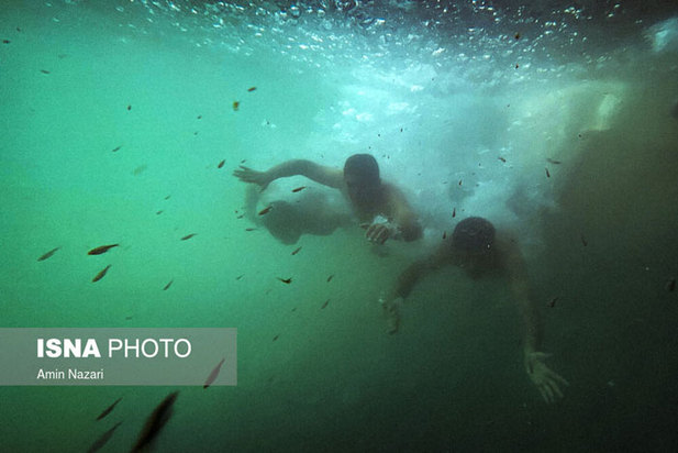 دنیای خنک زیر آب