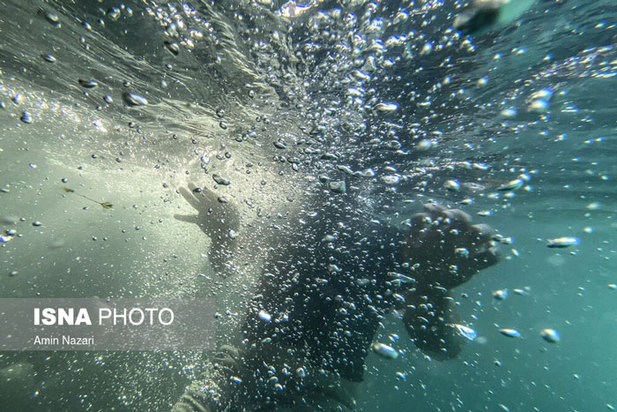 دنیای خنک زیر آب