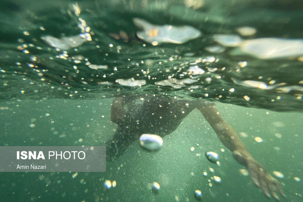 دنیای خنک زیر آب