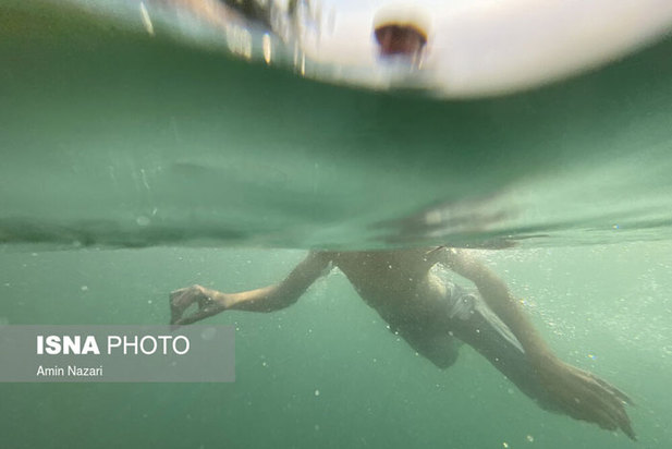 دنیای خنک زیر آب