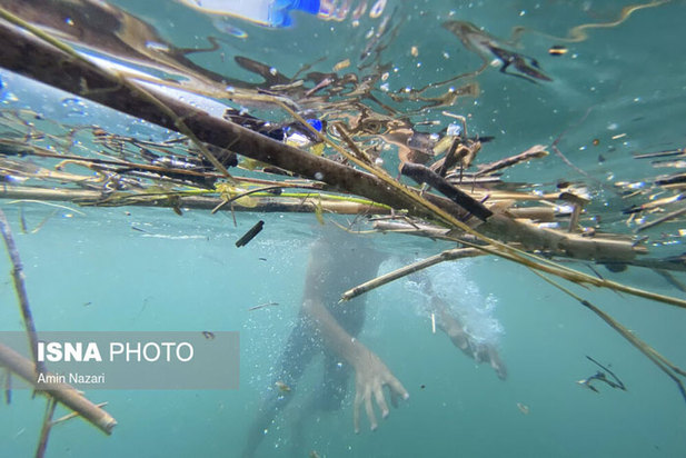 دنیای خنک زیر آب