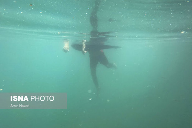 دنیای خنک زیر آب