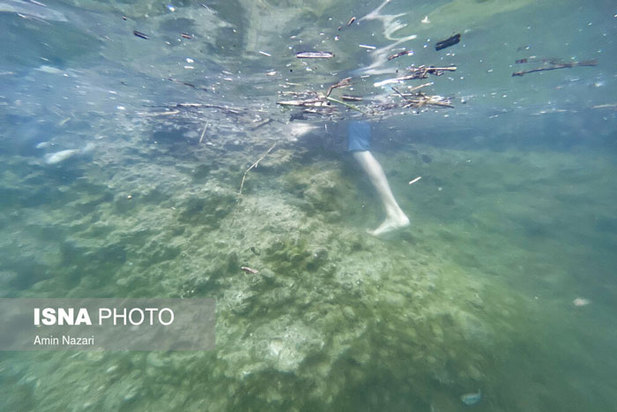 دنیای خنک زیر آب