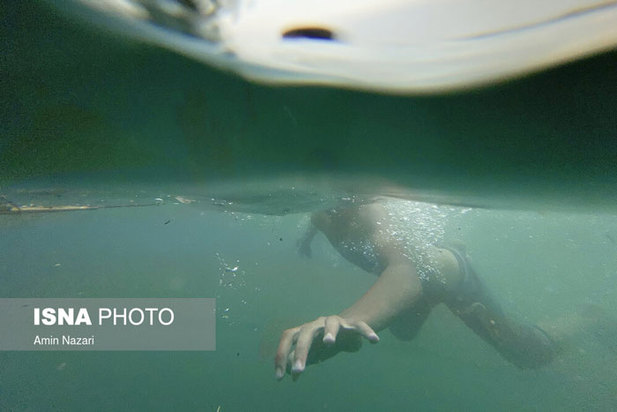 دنیای خنک زیر آب