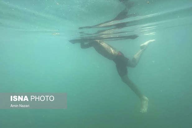 دنیای خنک زیر آب