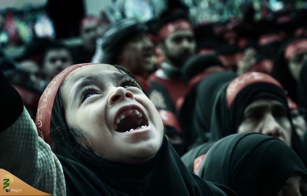 تصاویر برگزیده زیباترین عکس از زائران اربعین