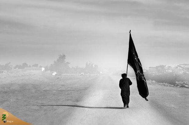 تصاویر برگزیده زیباترین عکس از زائران اربعین