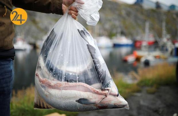 گرینلند سرزمین ناشناخته