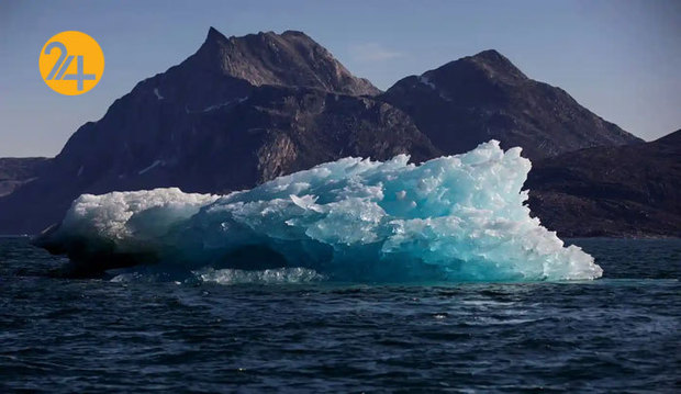 حیات وحش به روایت گاردین