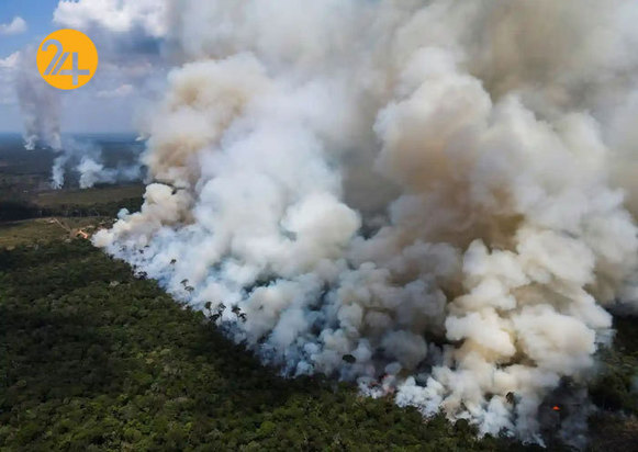 حیات وحش به روایت گاردین