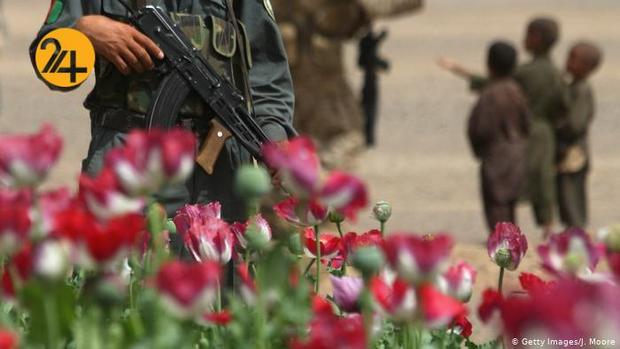 مزارع کشت خشخاش در افغانستان