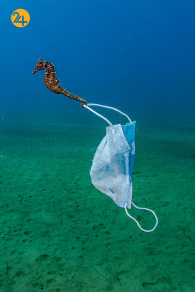 فینالیست‌های مسابقه عکاسی اقیانوس ۲۰۲۱